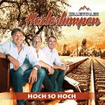 13-03-2015 - pressepromo - Zillertaler Haderlumpen.jpg
